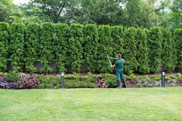 Artificial Turf Installation in Mead, WA